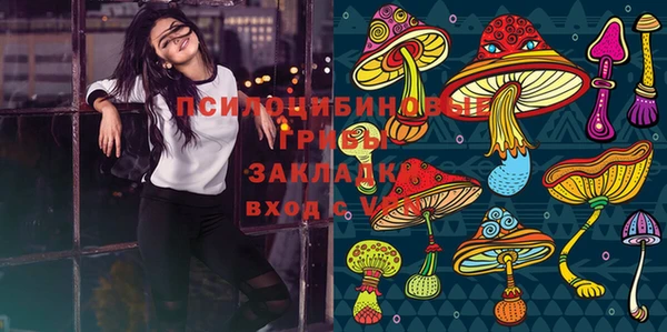 стафф Краснослободск