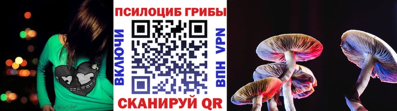 Псилоцибиновые грибы мухоморы  Купить закладки  Новошахтинск 
