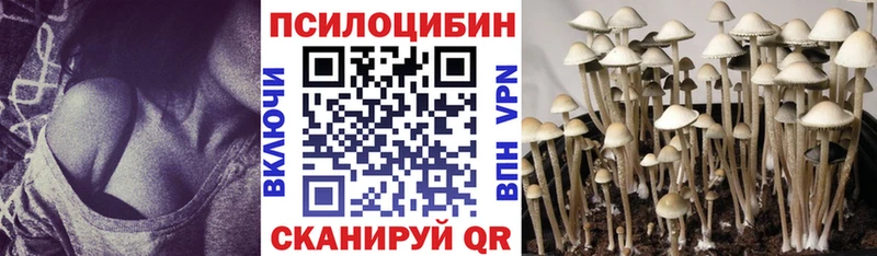 Галлюциногенные грибы мицелий Новошахтинск